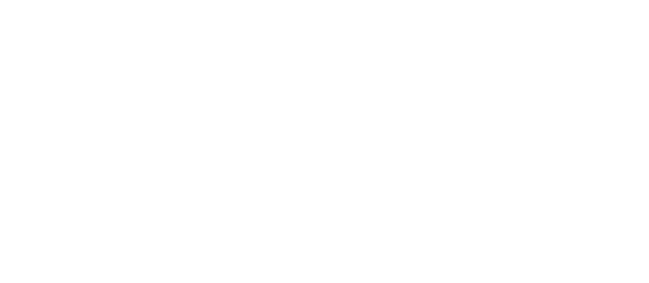 Washington United Panthers Logo